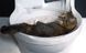 Автоматический туалет для кошек CatGenie 120 в Украине – SmartRobot.ua