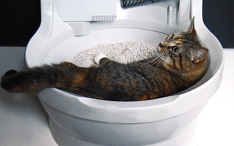 Автоматический туалет для кошек CatGenie 120